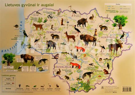 Žemėlapis su gyvūnų prieglaudų lokacijomis Lietuvoje