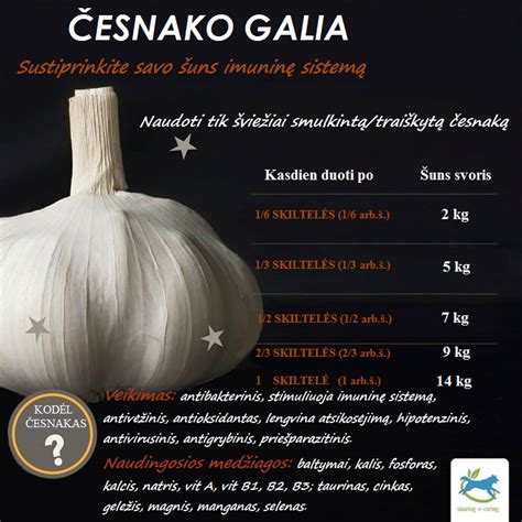 Česnako skiltelės ir jų naudingosios savybės