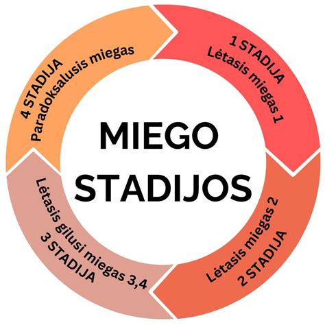 Kūdikių miego ciklo schema
