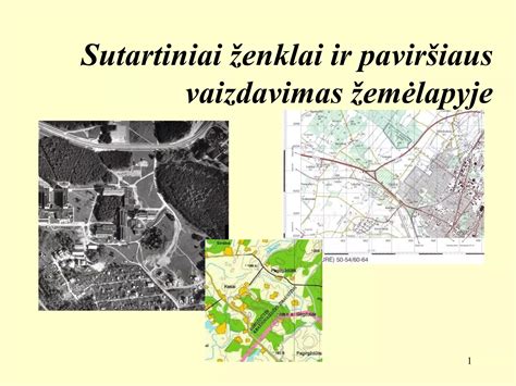 Schematinis paracetamolio poveikio vaisiaus smegenims vaizdavimas