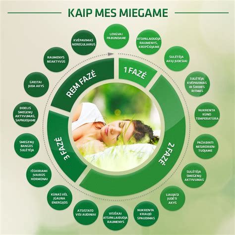 Miego fazės kūdikiams