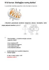 schema kvėpavimo sąrėmių metu