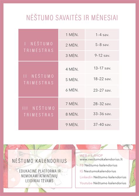 Grafikas, rodantis nėštumo savaites ir išnešiotumo ribas