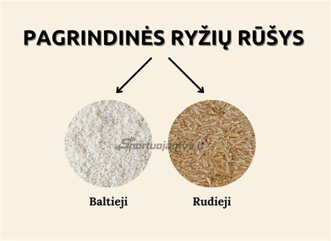 Sąvybės ir nauda skirtingų ryžių