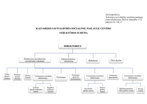 Schema, iliustruojanti dienos socialinės globos paslaugų struktūrą