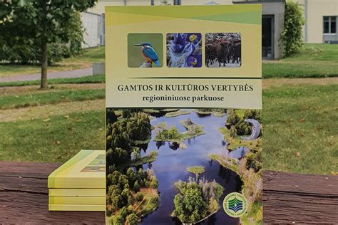 Infografika, vaizduojanti įstaigos vertybes