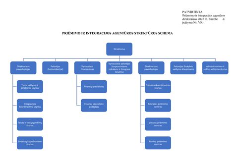 Schema, iliustruojanti priėmimo į socialinės globos įstaigą procesą