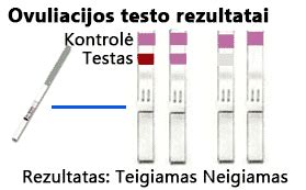 Kaip naudoti ovuliacijos testą