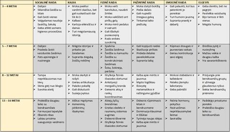 Schema vaiko gimimo registravimo proceso