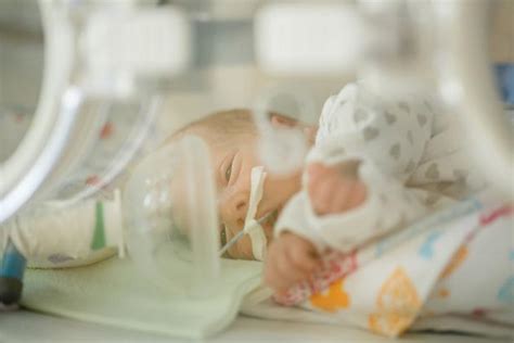 Ankstuko priežiūra inkubatoriuje