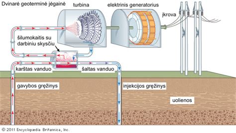 Schema, iliustruojanti ūmios vaisiaus hipoksijos priežastis