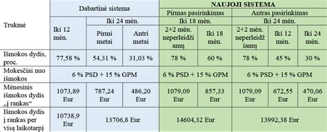 Vaiko priežiūros atostogos ir darbas