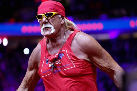Hulk Hogan filme 