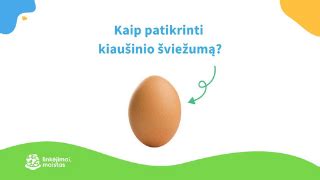 Kaip patikrinti kiaušinio šviežumą vandens teste