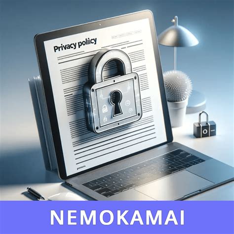 privatumo politikos elementai