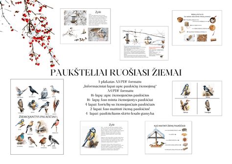 vaikai stebi paukščius