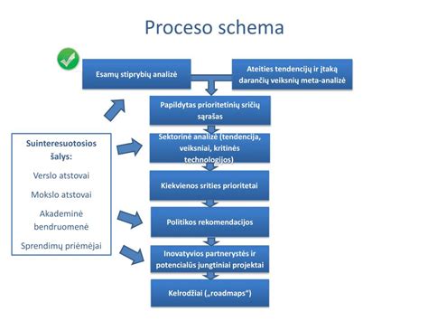 Tėvystės nustatymo proceso schema