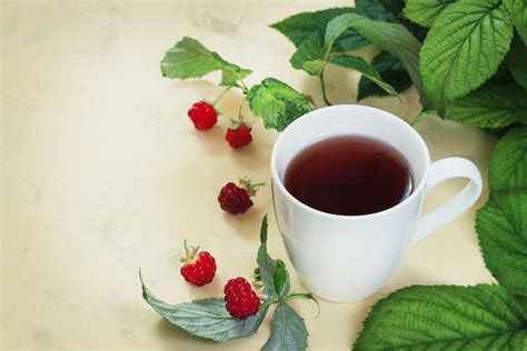 Puodelis aviečių lapų arbatos ir aviečių lapų