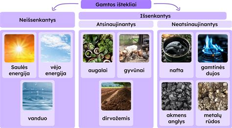 Gamtos ištekliai