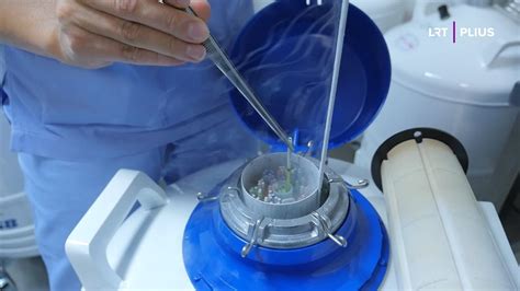 Embrionų šaldymas ir jo privalumai