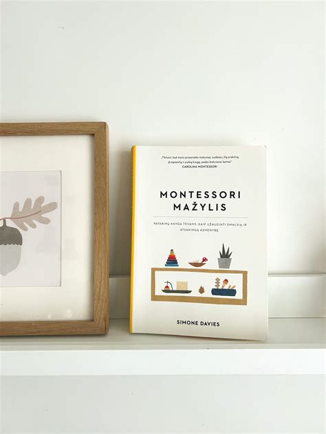 Montessori pedagogikos principai