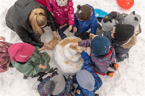 Darželio projektavimas su mulčiumi ir akmenukais