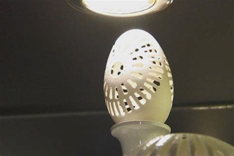 Rekordinis žąsies kiaušinis