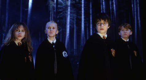 Hario Poterio ir Drako Smirdžiaus vaikų susitikimas