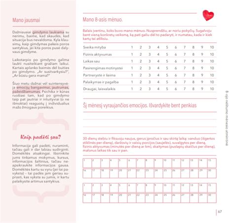 Šunų nėštumo kalendorius