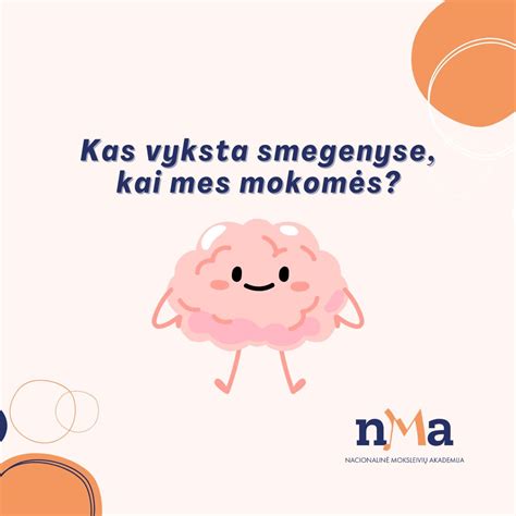 Vaizdas, iliustruojantis neuronų tinklų formavimąsi smegenyse