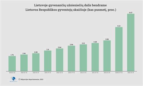 Lietuvos gyventojų deklaravimo statistika