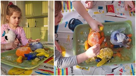 STEAM veiklos pavyzdžiai