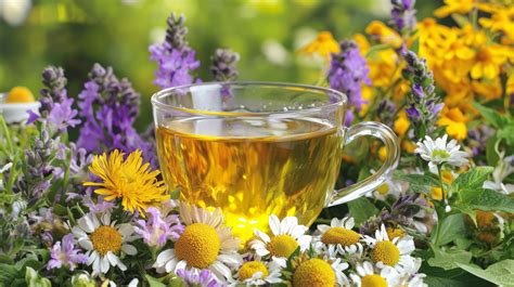 Grafikas, rodantis geležies poreikio pokyčius nėštumo metu