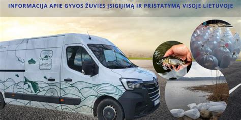 Informacija apie pristatymą ir apmokėjimą