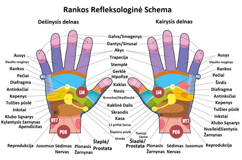 Prakaituojančios rankos