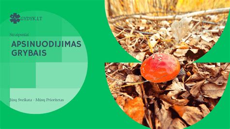 Infografika: Simptomai ir laikas po apsinuodijimo grybais