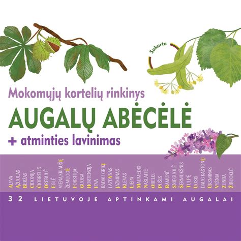 Mokomosios kortelės su augalais