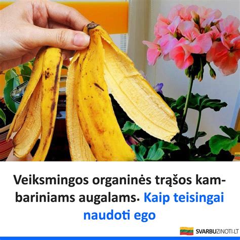 Kaip teisingai naudoti vaikišką pudrą