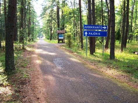 Dviračių takas palei jūrą