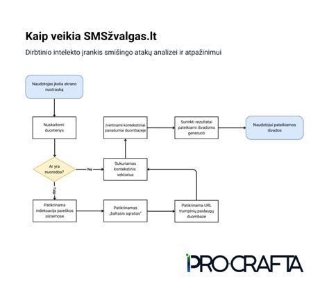 diagrama kaip veikia slapukai