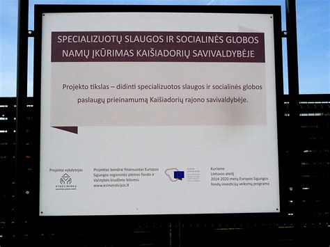 Infografika, rodanti skirtingų socialinės globos paslaugų gavėjų grupių poreikius