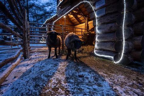 Gyvūnai Keistų dvarelyje