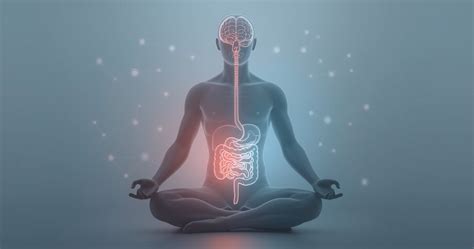 Schema, kaip Smecta veikia virškinimo sistemoje