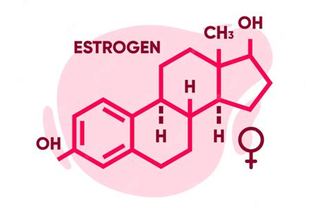 Estrogeno poveikis moters organizmui