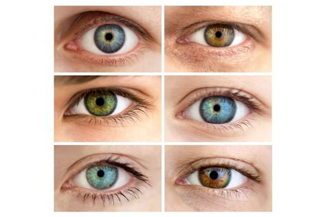 Genetinis medelis, iliustruojantis akių spalvos paveldėjimą