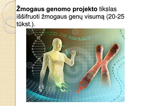 Schematinis žmogaus genomo vaizdavimas