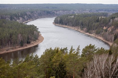 Upės Nemunas vaga
