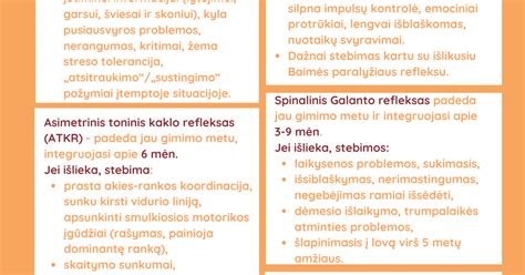 Kūdikio smegenų vystymosi schema