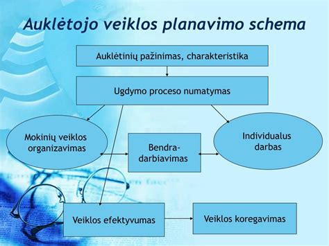 Auklių agentūros veiklos schema