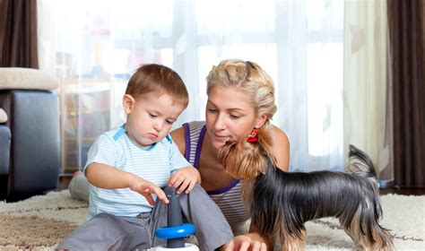 Šeima, ieškanti auklės